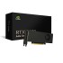 NVIDIA RTX 2000 Ada 16GB -LP bracket (Dual Slot, 70W)-Retail Box
