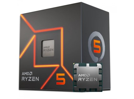 AMD RYZEN 5 8600G  Processor