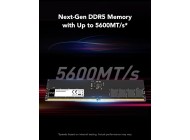 LEXAR 32GB DDR-5 5600MHz Memory PC (On-die ECC)