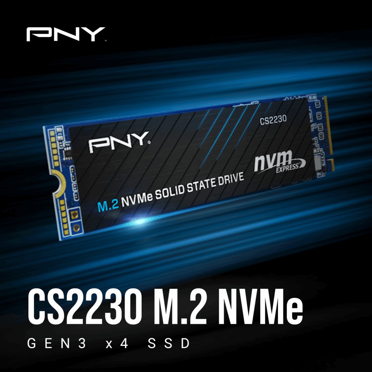 PNY CS2230 1TB M.2 NVMe SSD PNY CS2230 1TB M.2 NVMe SSD