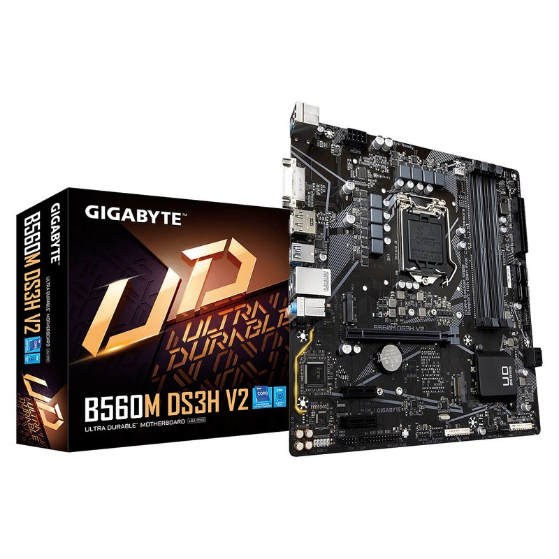 Gigabyte B560M-DS3H V2 Motherboard | Taipei For Computers - Jordan